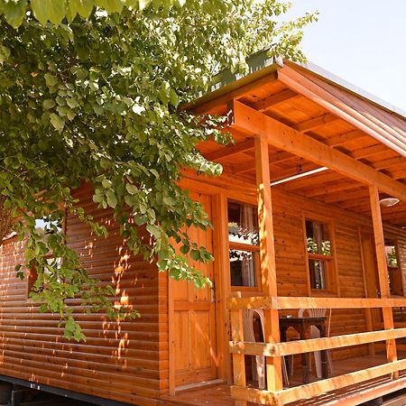 Tolay Hotel Олюденіз Екстер'єр фото